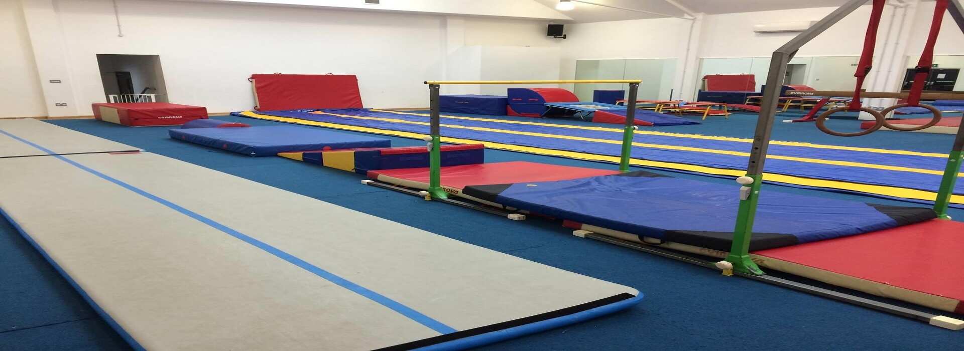 Synergy Gymnastics London Booking by Bookwhen