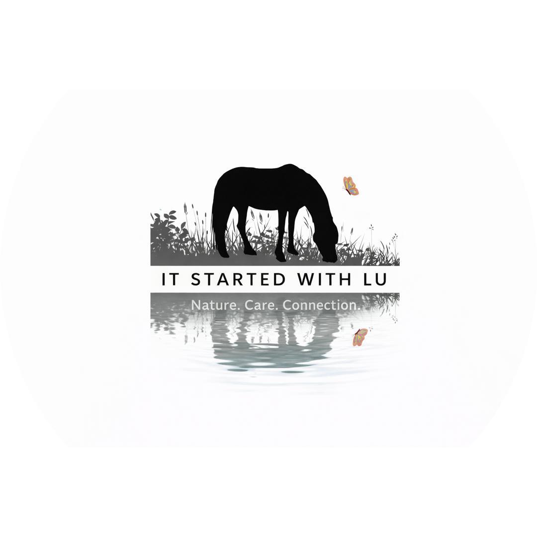 It Started With Lu