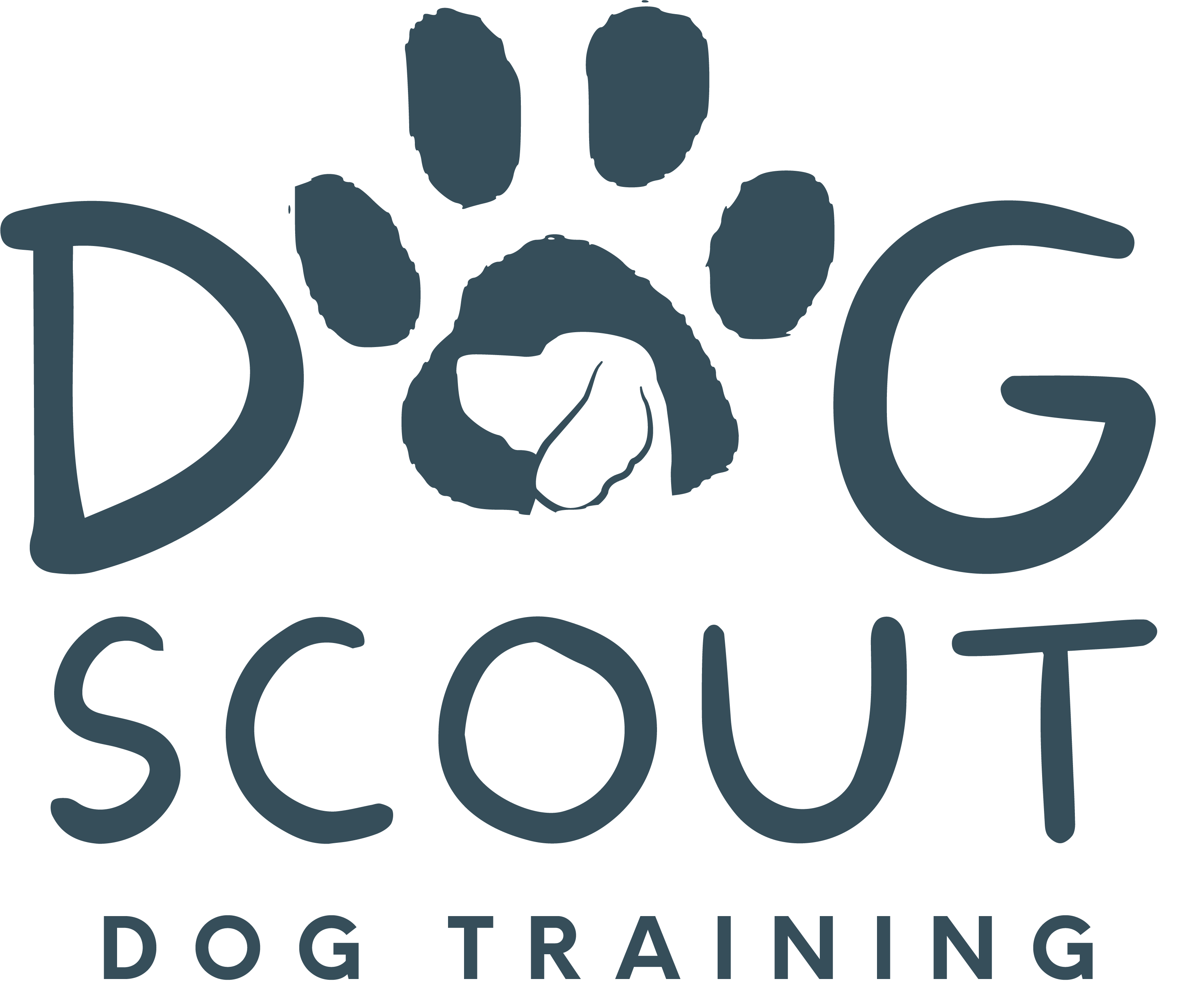 Dogscouttraining