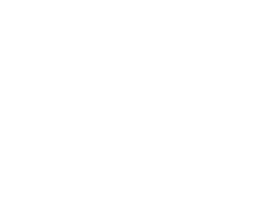Coalfield Flower Farm CIC