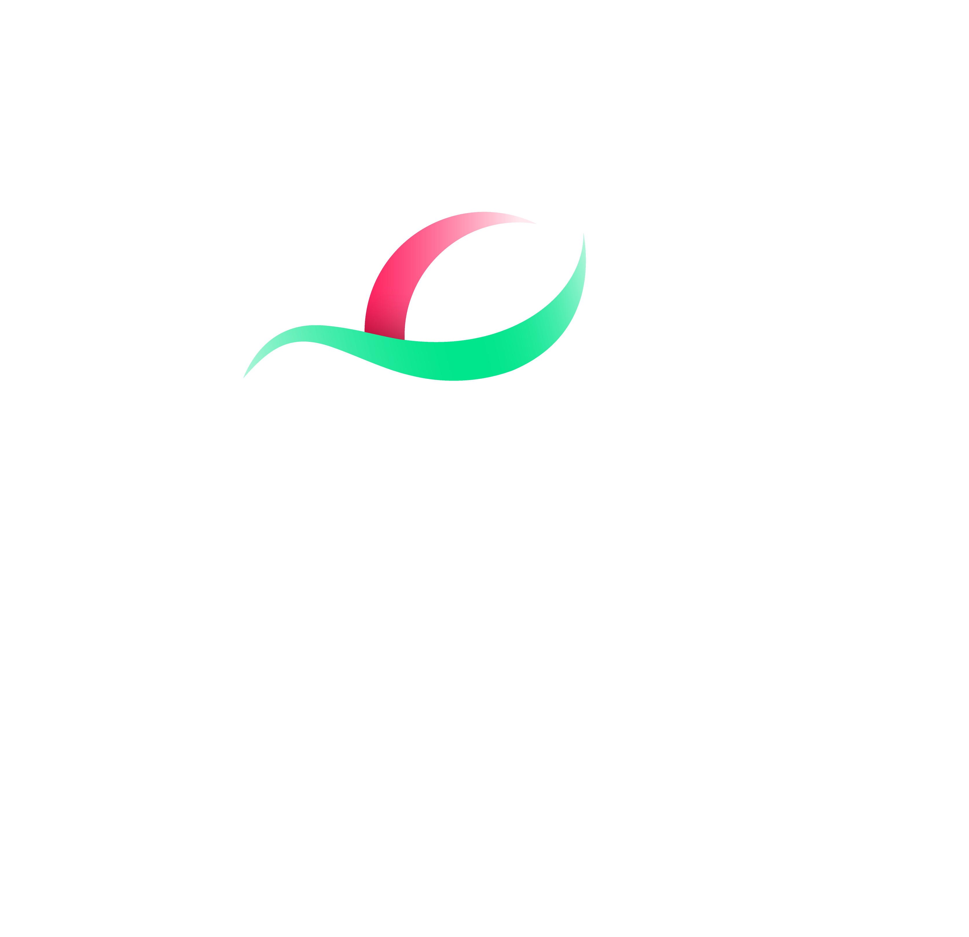 DP World Netherlands B.V.