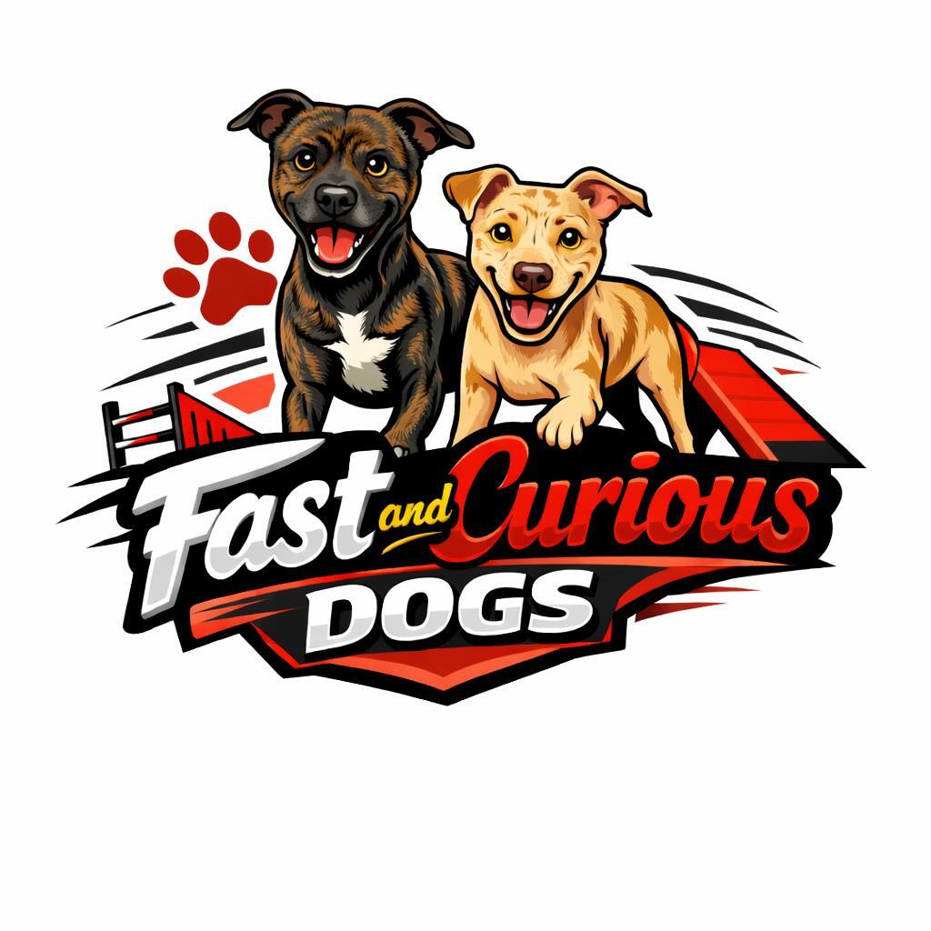 Fast and Curious Dogs
