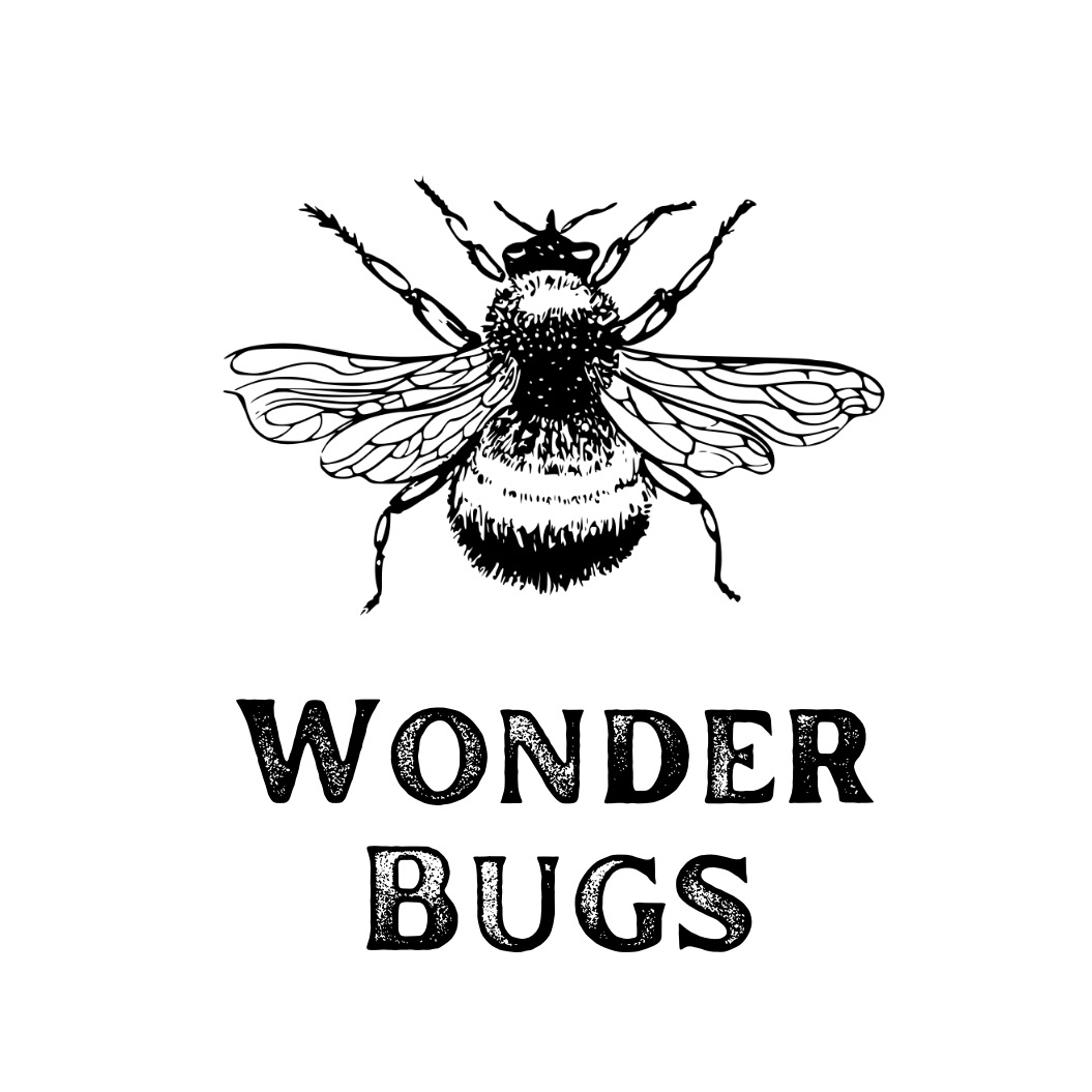 Wonder Bugs