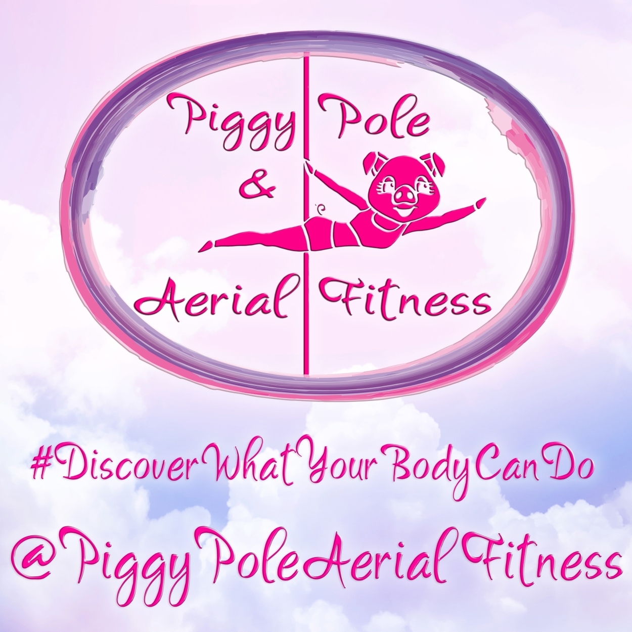 Piggy Pole & Aerial Fitness
