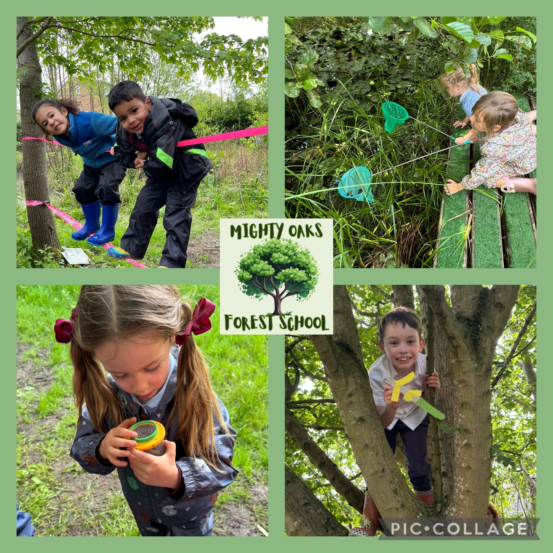 Mighty Oaks Forest School
