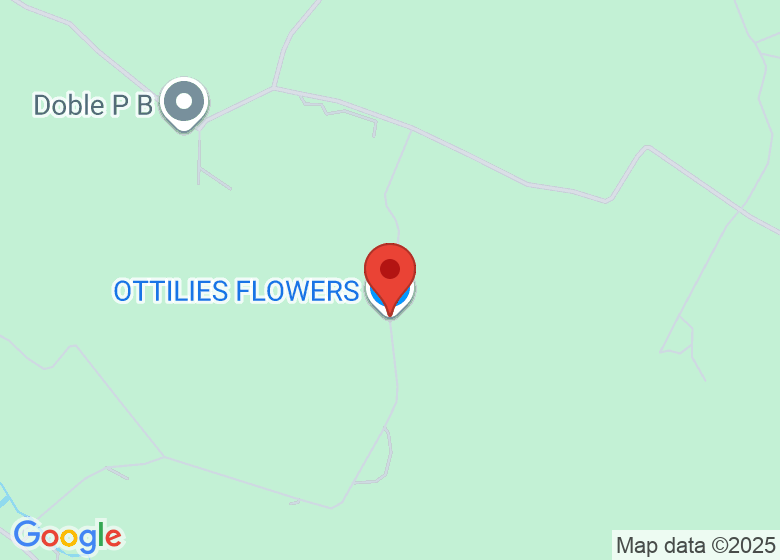 Map showing location of OTTILIES FLOWERS
