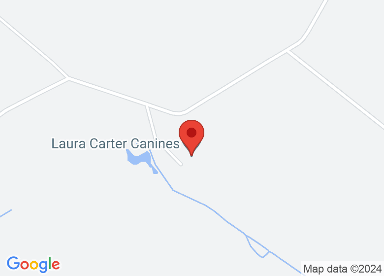 Map showing location of Laura Carter Canines