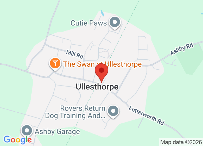 Map showing event location