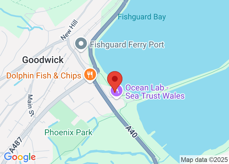 Map showing event location