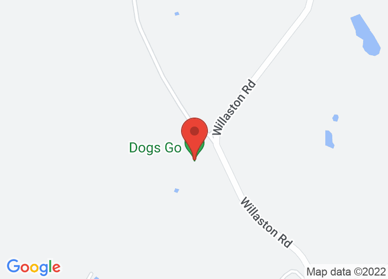 Map showing location of Dogs Go