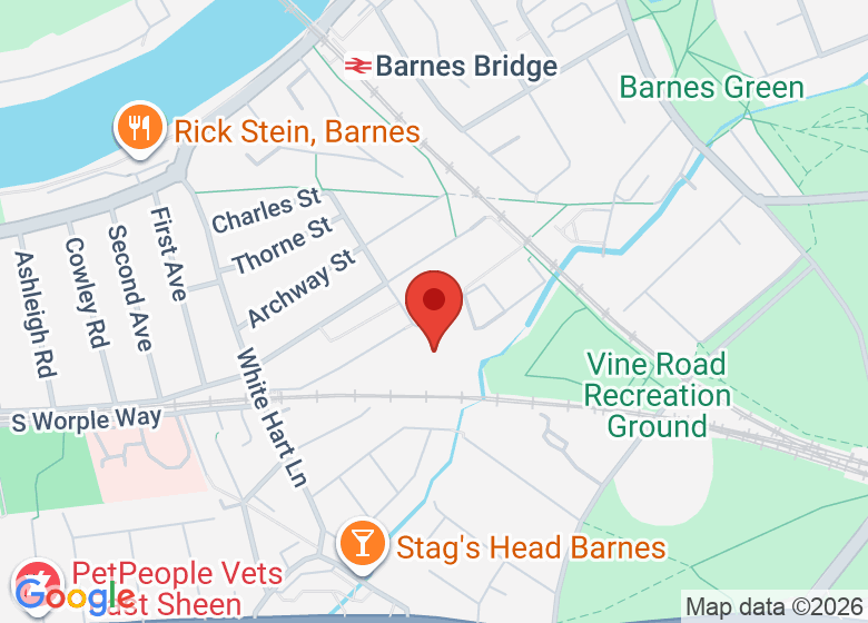 Map showing location of Barnes Primary School