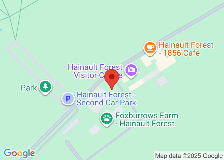 Map showing location of Hainault Forest Flagpole meeting point