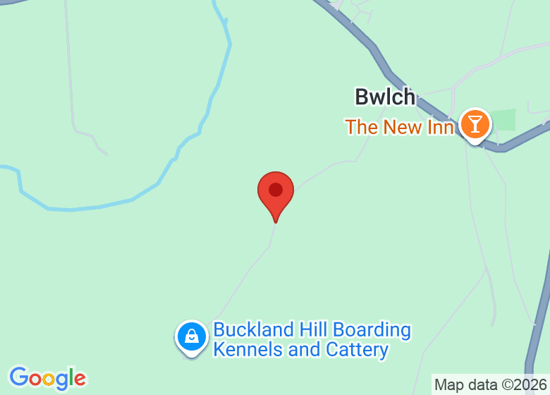 Map showing location of Bridget’s Field