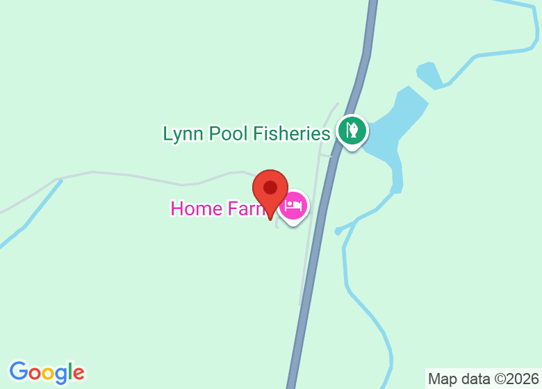 Map showing location of Tiny Fungi Ltd
