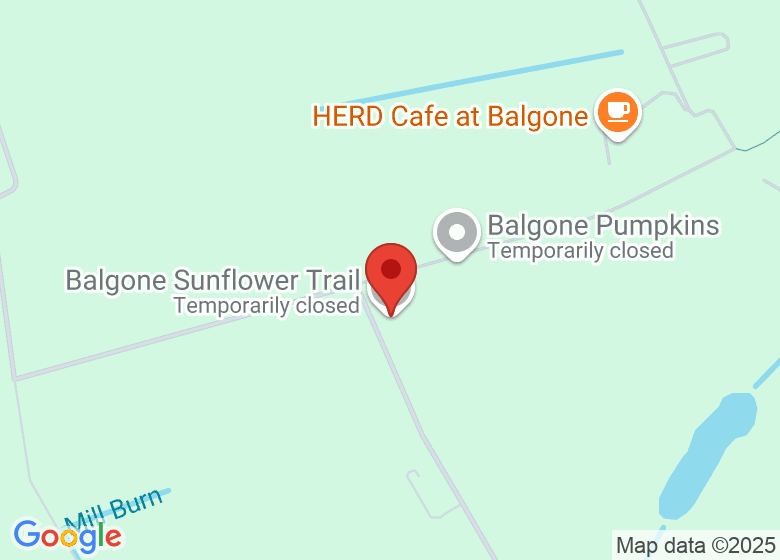Map showing location of Balgone Sunflower Trail