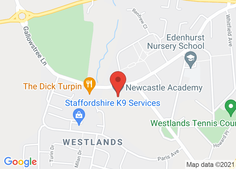Map showing location of Newcastle Academy