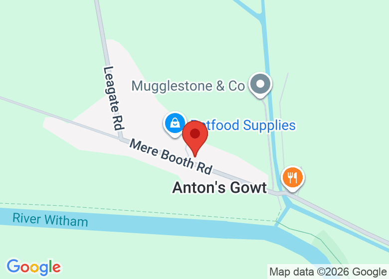 Map showing location of WAXPIGEON Art Studio 