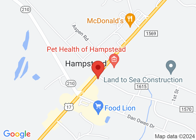 Map showing location of Wild Child Art Studio