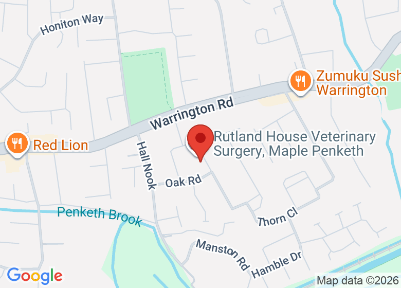 Map showing location of Molly Blooms The Florist 