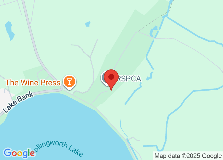 Map showing location of Hollingworth Country Park