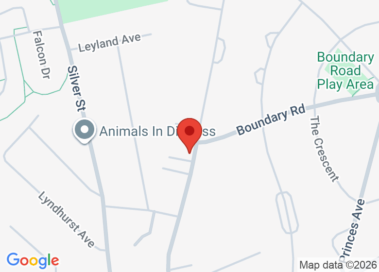 Map showing location of ALIGN Studio
