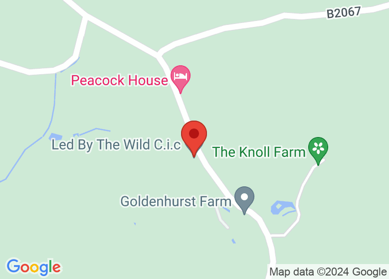 Map showing location of Led by the Wild
