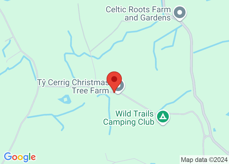Map showing location of Tŷ Cerrig Christmas Tree Farm