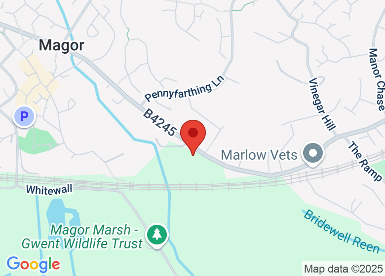 Map showing location of Magor and Undy Community Hub (The Hub)