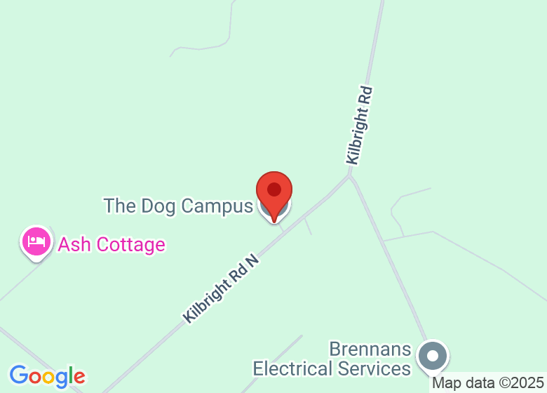 Map showing location of The Dog Campus Carrowdore