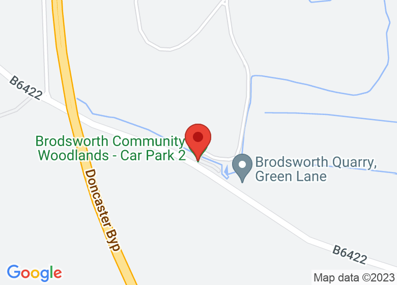 Introduction/Progression to Mantrailing Brodsworth Community Woodland