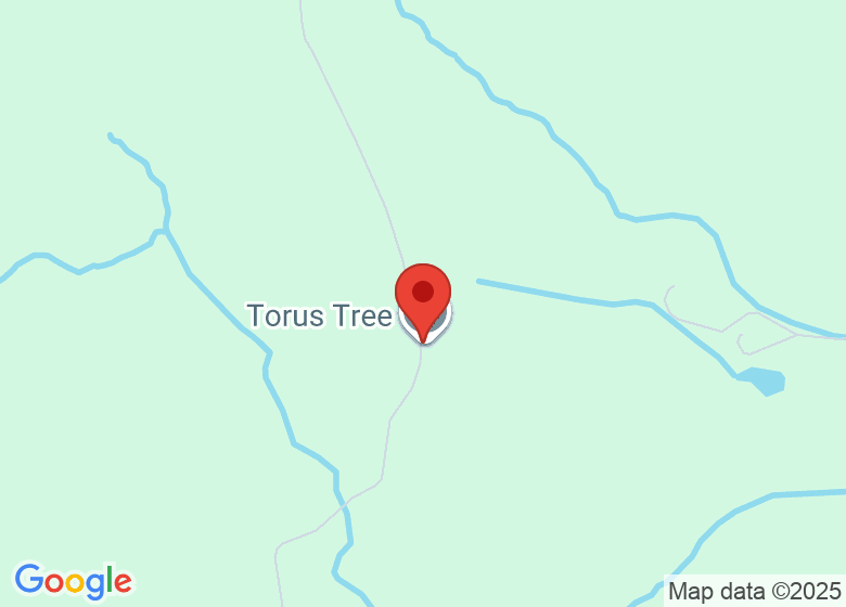 Map showing location of Torus Tree Ltd
