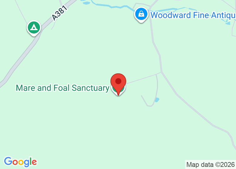 Map showing location of Mare and Foal Sanctuary