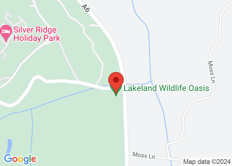 Map showing location of Lakeland Wildlife Oasis