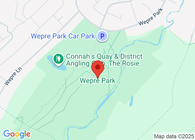 Map showing location of Wepre Park 