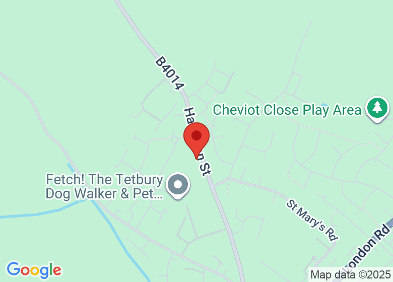 Map showing event location
