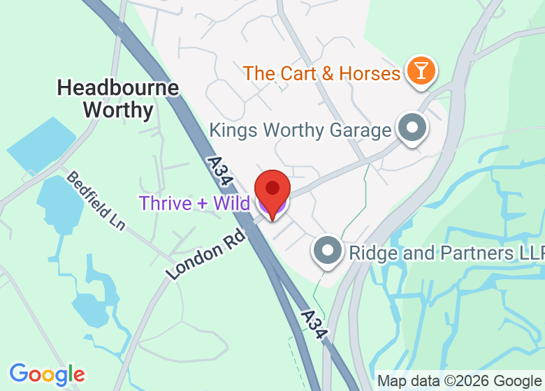 Map showing location of Thrive + Wild