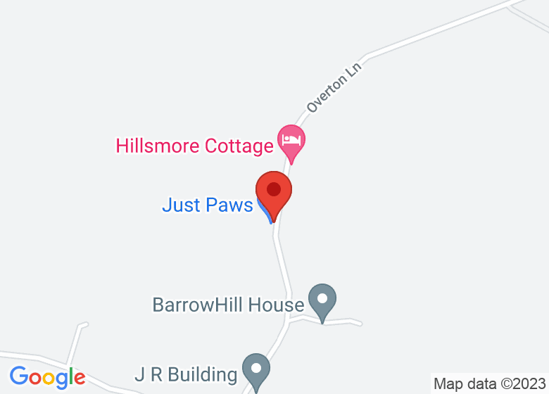 Map showing location of Just Paws